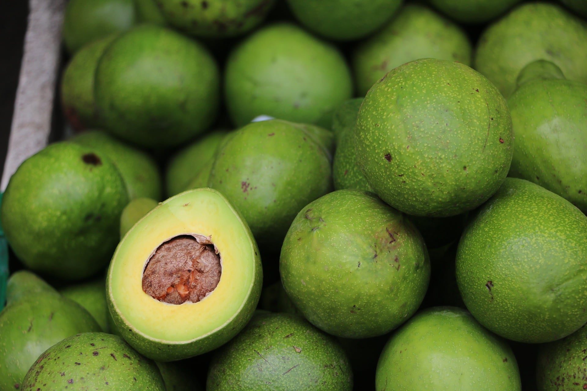 Hoeveel vet zit er in een avocado en is dit gezond?