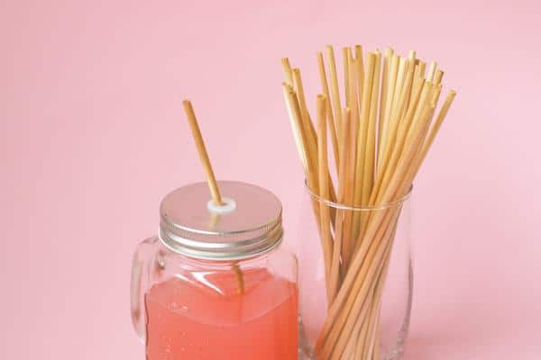 alternatieven voor plastic rietjes